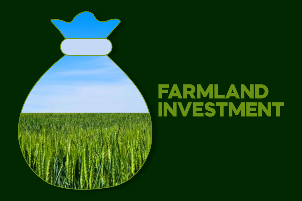 Farmland Investment